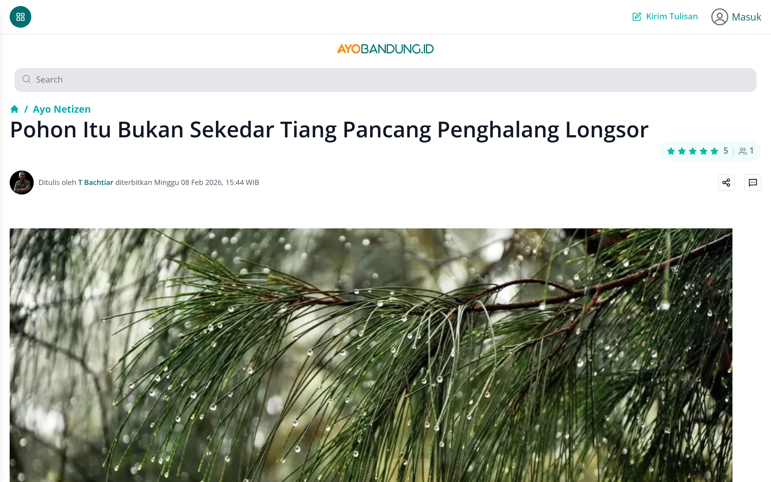Pohon itu Bukan Sekedar Tiang Pancang Penghalang Longsor